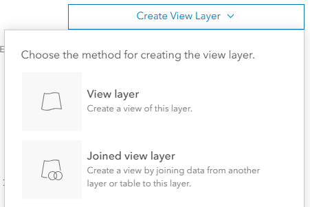 Portal for ArcGIS Create View Layer dialog