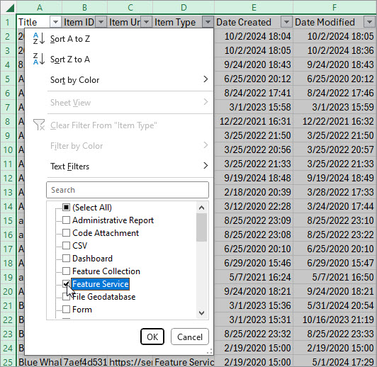 Item Type column with filter set to show Feature Service items