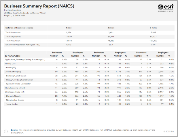 New Business Summary Report – NAICS (Tabular) infographic.