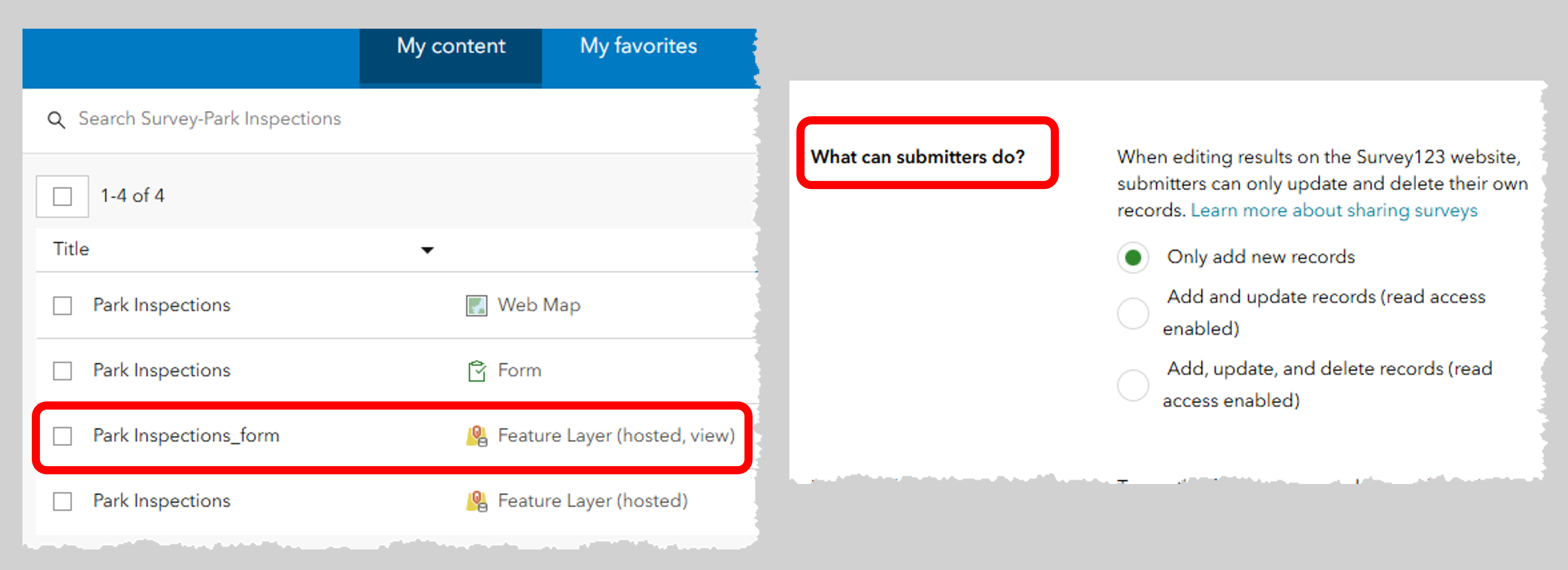 Hosted feature layer view and edit settings