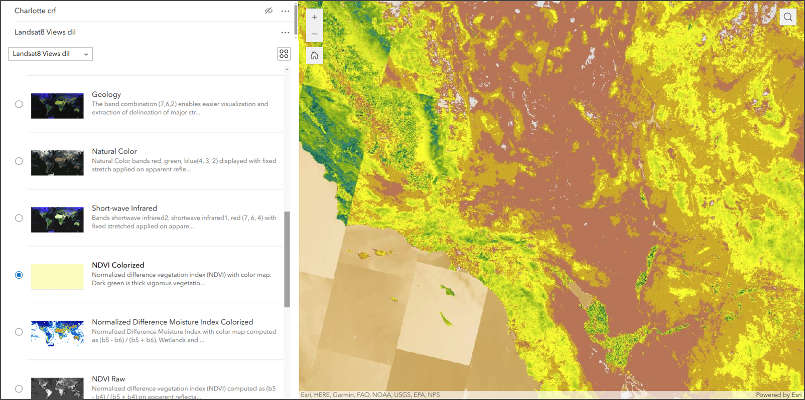 Processing template widget