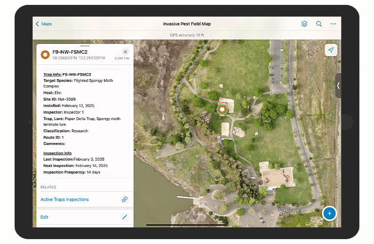 Example of a pest inspector adding a new inspection record in the Invasive Pest Field Map.