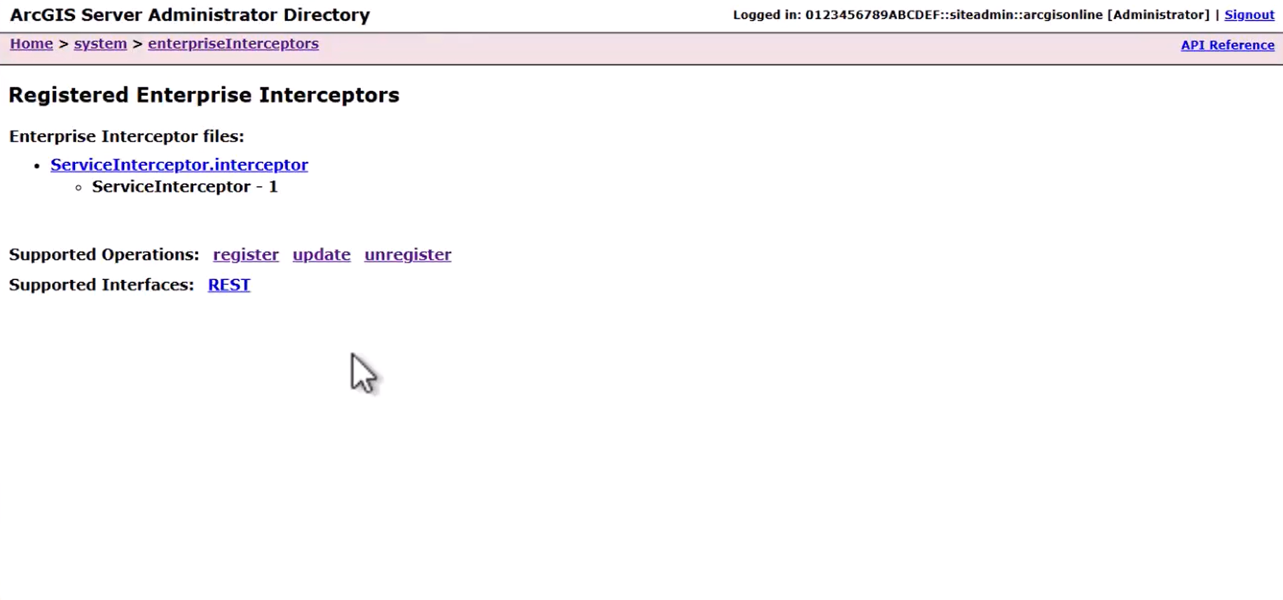 The service interceptor is deployed to ArcGIS Server.