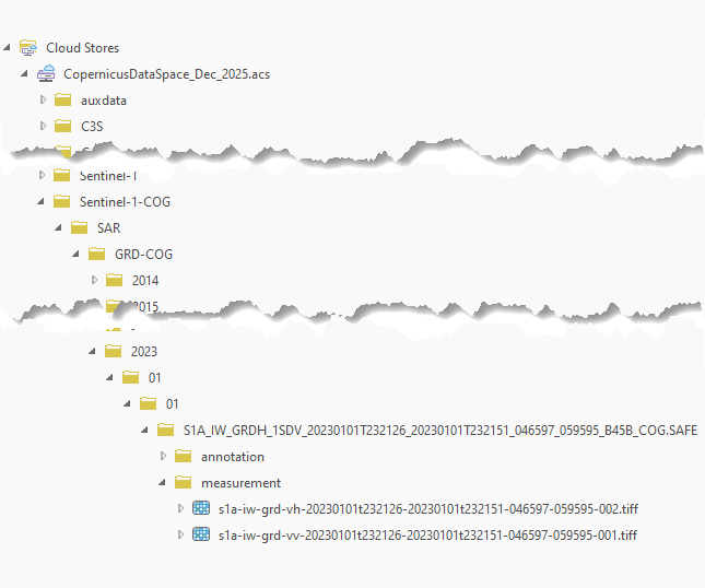 Data structure with real images listed - here Sentinel-1 example