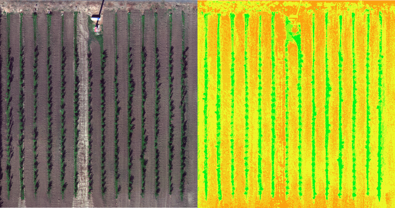 Multispectral True Ortho