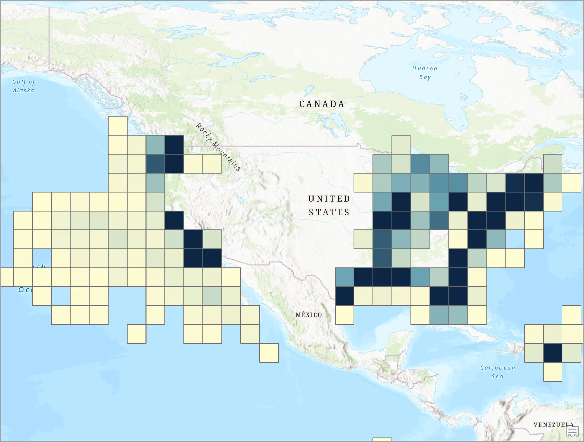 Map with geosquare bins