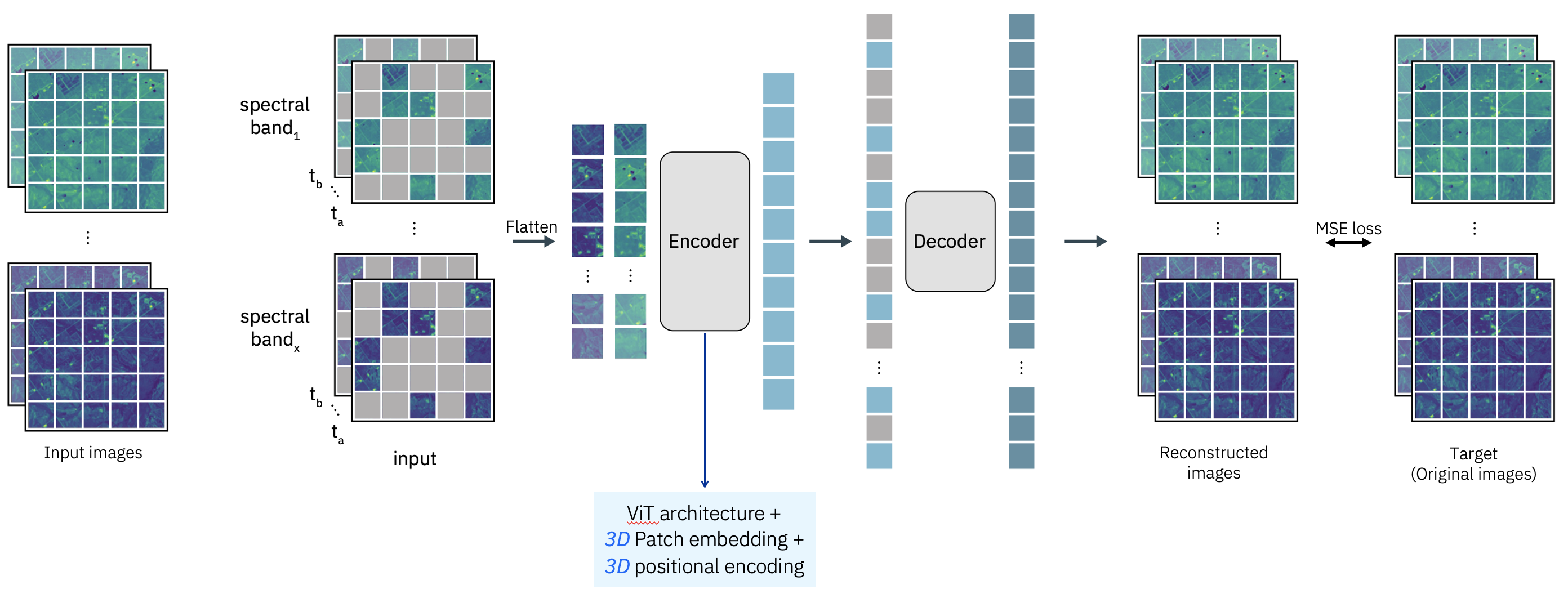 Prithvi-EO-1.0 model architecture. Source: Jakubik et al.