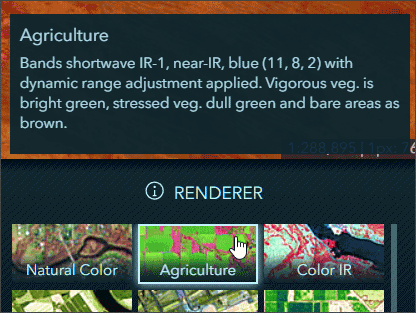 Renderer information