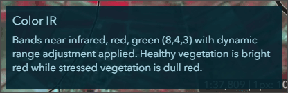 Renderer description