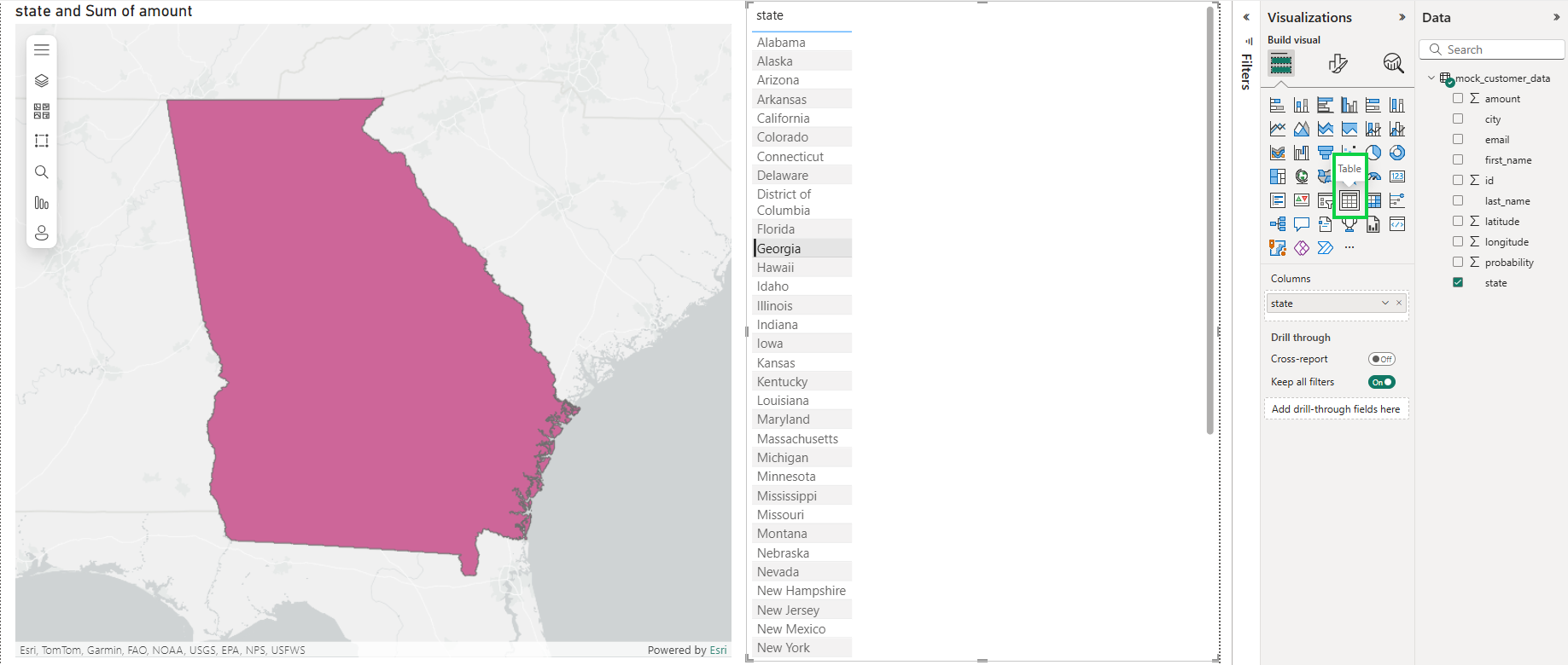 State of Georgia is showing selected in the Table visual results and the Map is zoomed in showing just the state of Georgia.