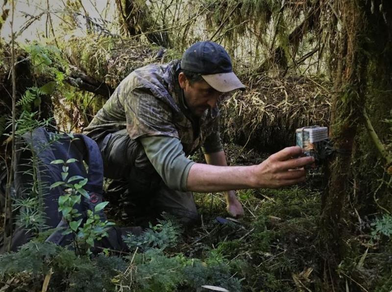 A researcher taking an image in a heavily wooded area.