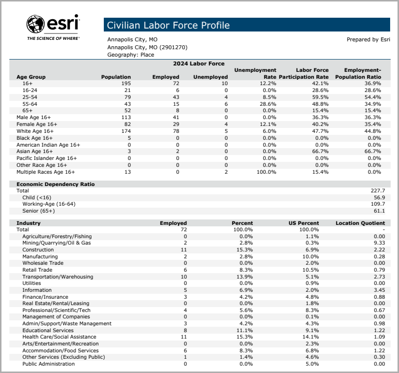 Run the Civilian Labor Force Profile report to analyze demographic information in Annapolis, Missouri.