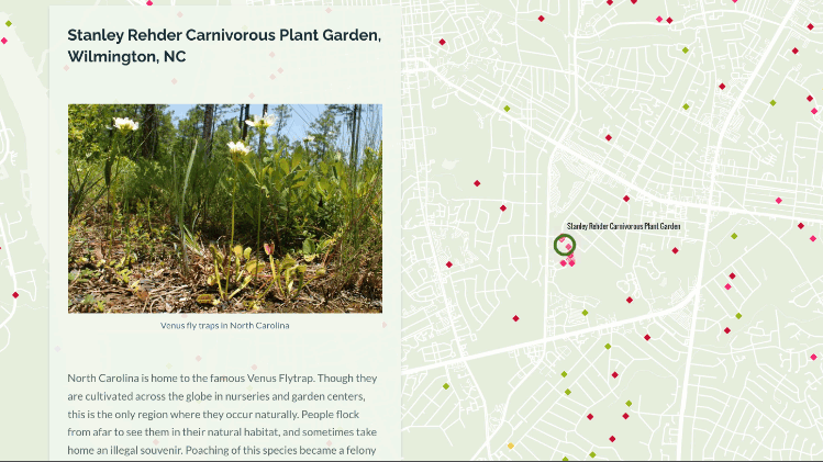 An visual of a map with a pulsing radial symbol that expands and contracts over an area of interest on the map.