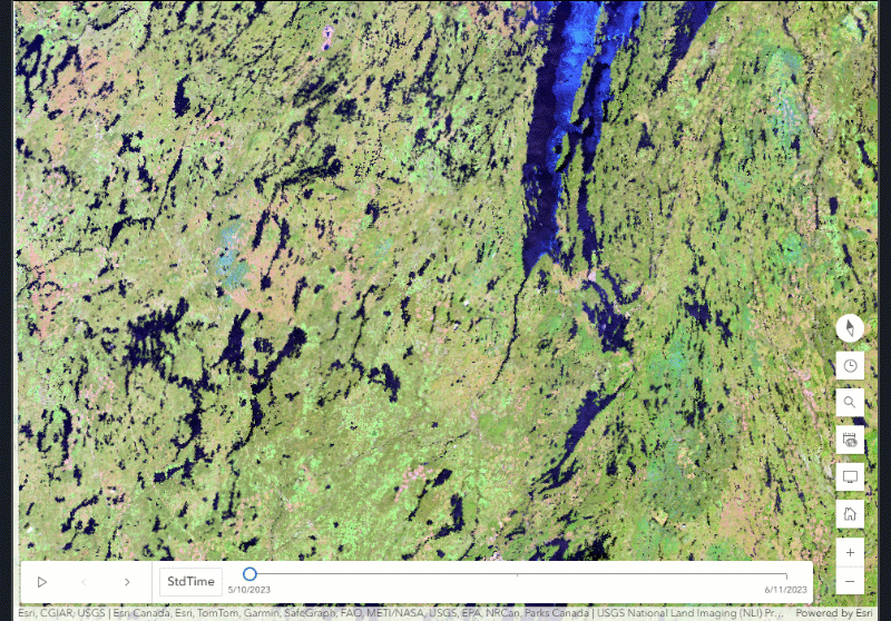 Multidimensional imagery layer displayed with custom band combination.