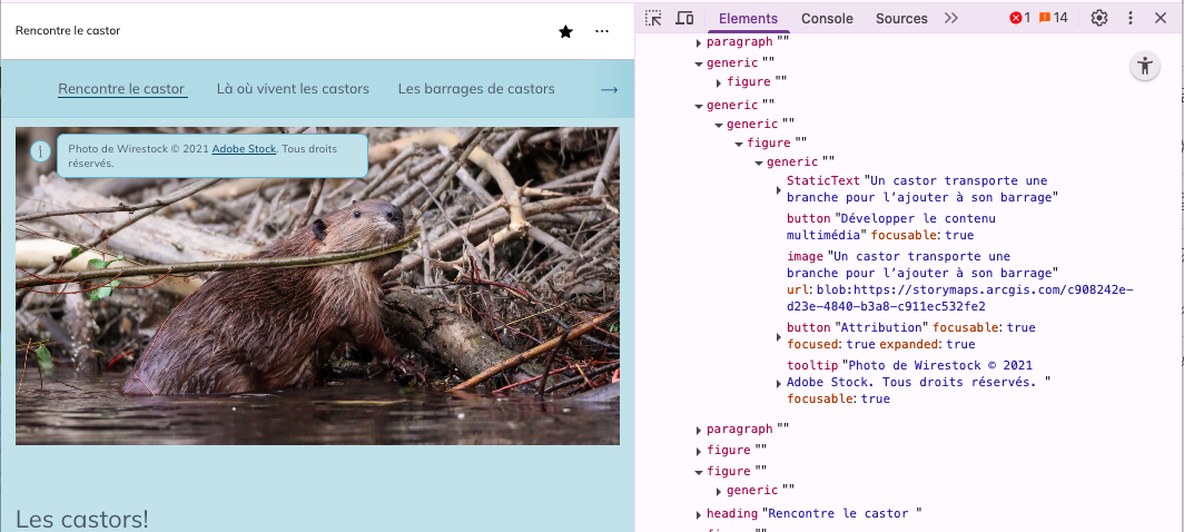 A screengrab from the French version of Meet the beaver shows a sample of the French alt text next to an image