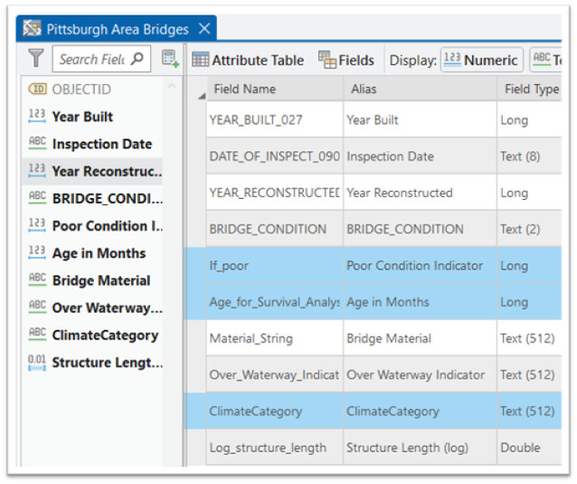 Data Engineering Pane highlighting the newly calculated variables.