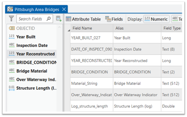 Data Engineering Pane showing variables in the dataset.