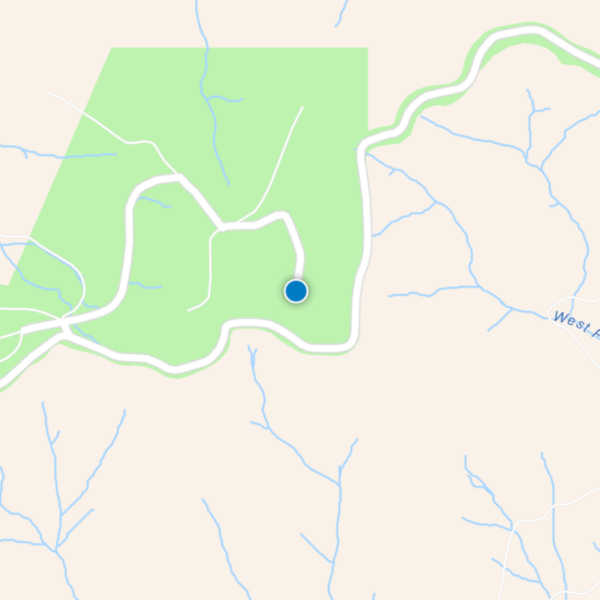 A blue dot denoting position on a map