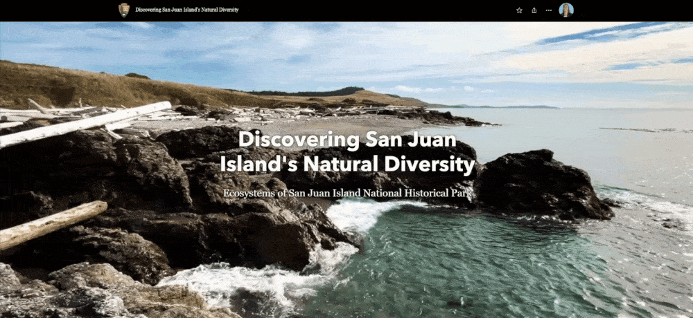 A screen shot of the Discovering San Juan Island's Natural Diversity with waves moving in the background