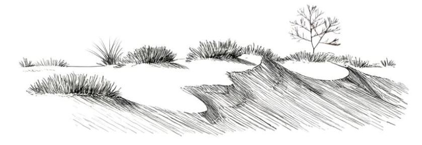 A black and white illustration of grassy sand dunes
