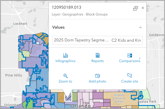 The site pop-up shows the block group's Dominant Tapestry segment.