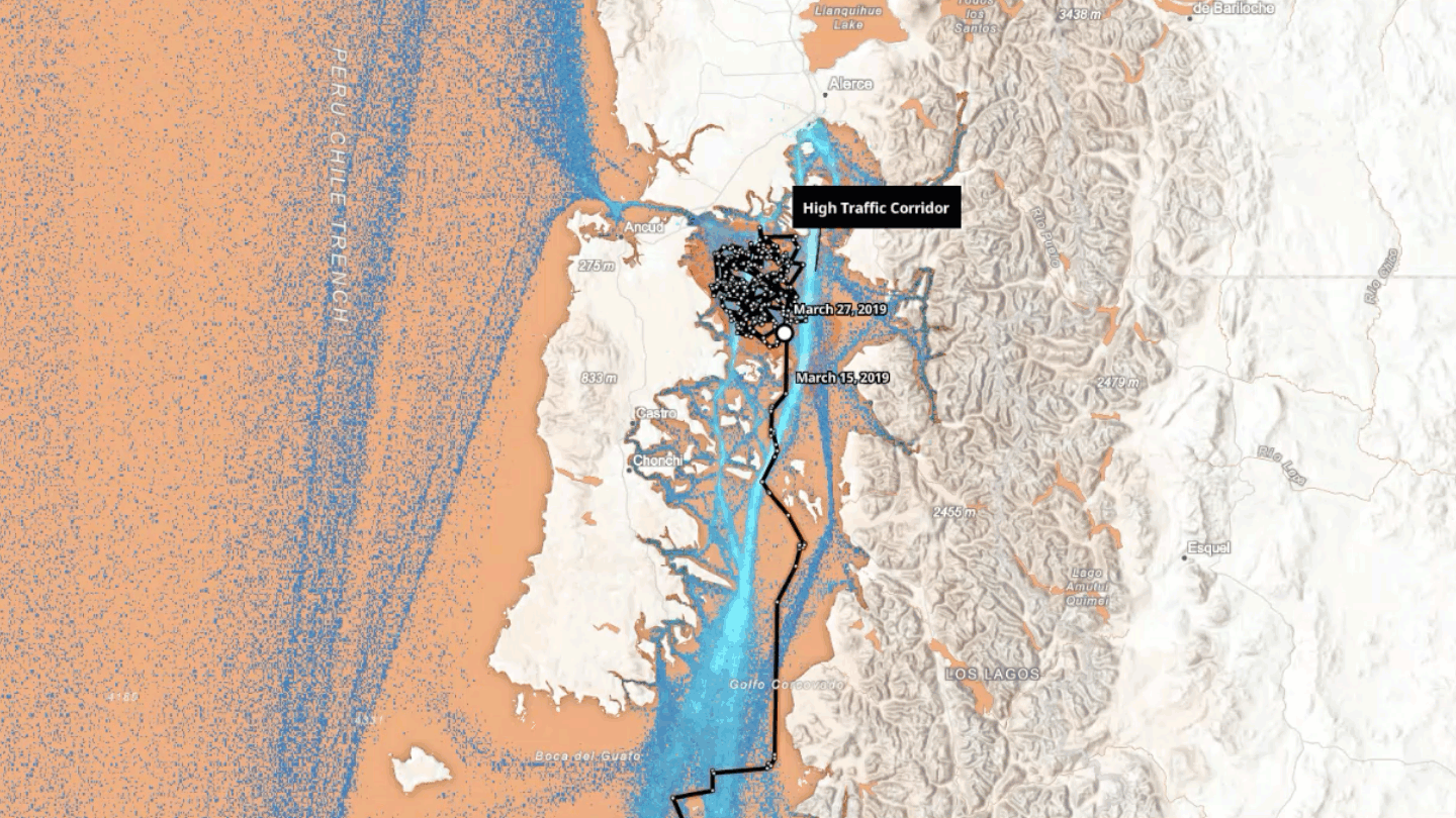 An animation following the path of a whale as it navigates the waters off the coast of Chile. As the track follows the whale it erratically seems to bounce around between the major lanes of vessel traffic.