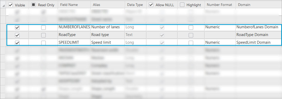 All three fields have attribute domains assigned