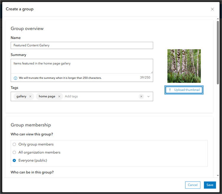 Create a group window with thumbnail, name, summary, and tags filled in