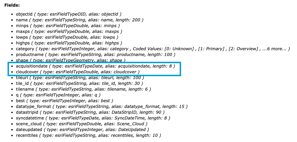 Screenshot of text displaying fields from image service