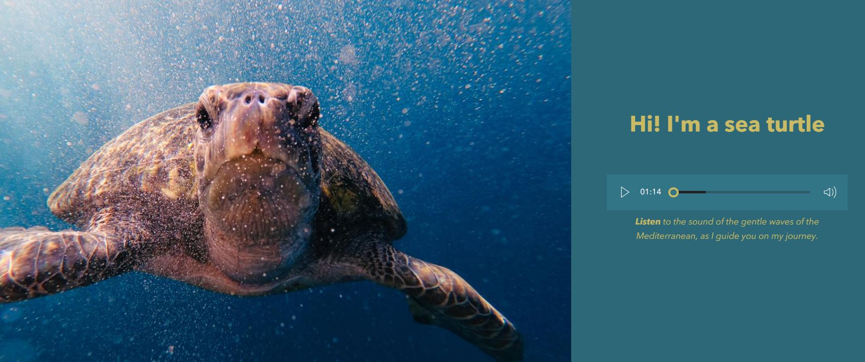 An ArcGIS StoryMaps sidecar block with a sea turtle on the left and opening text on the right