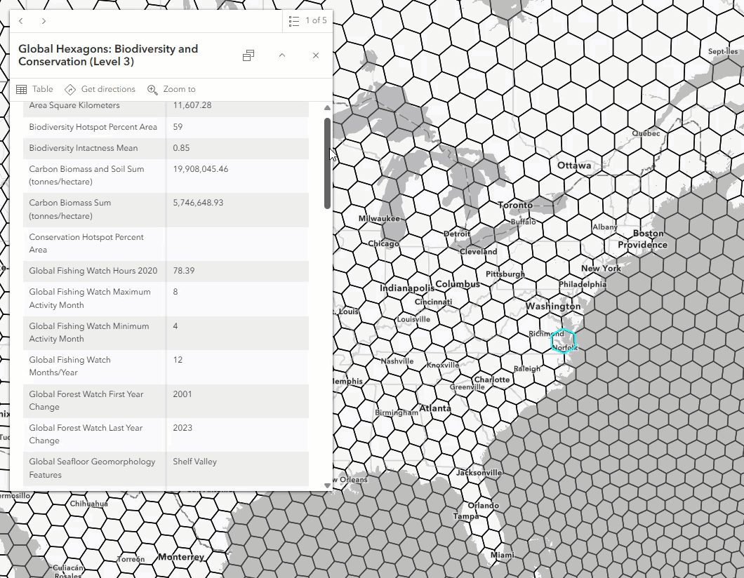 screenshot of global hexagon field list