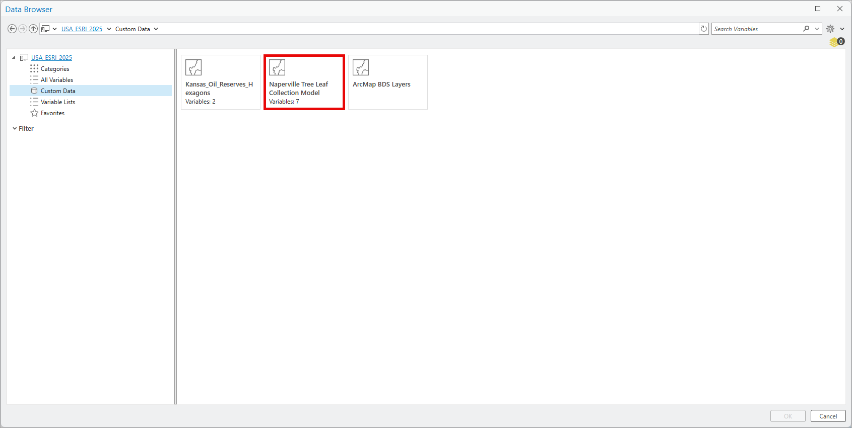 Custom data collections