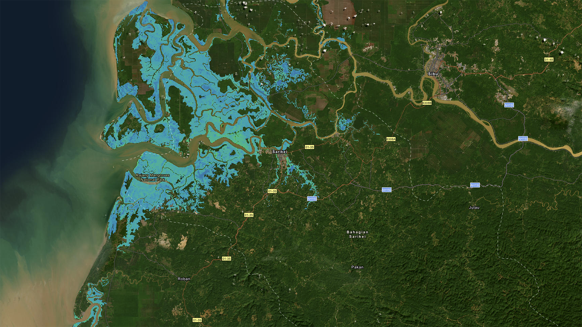 Mangrove in Western Malaysia