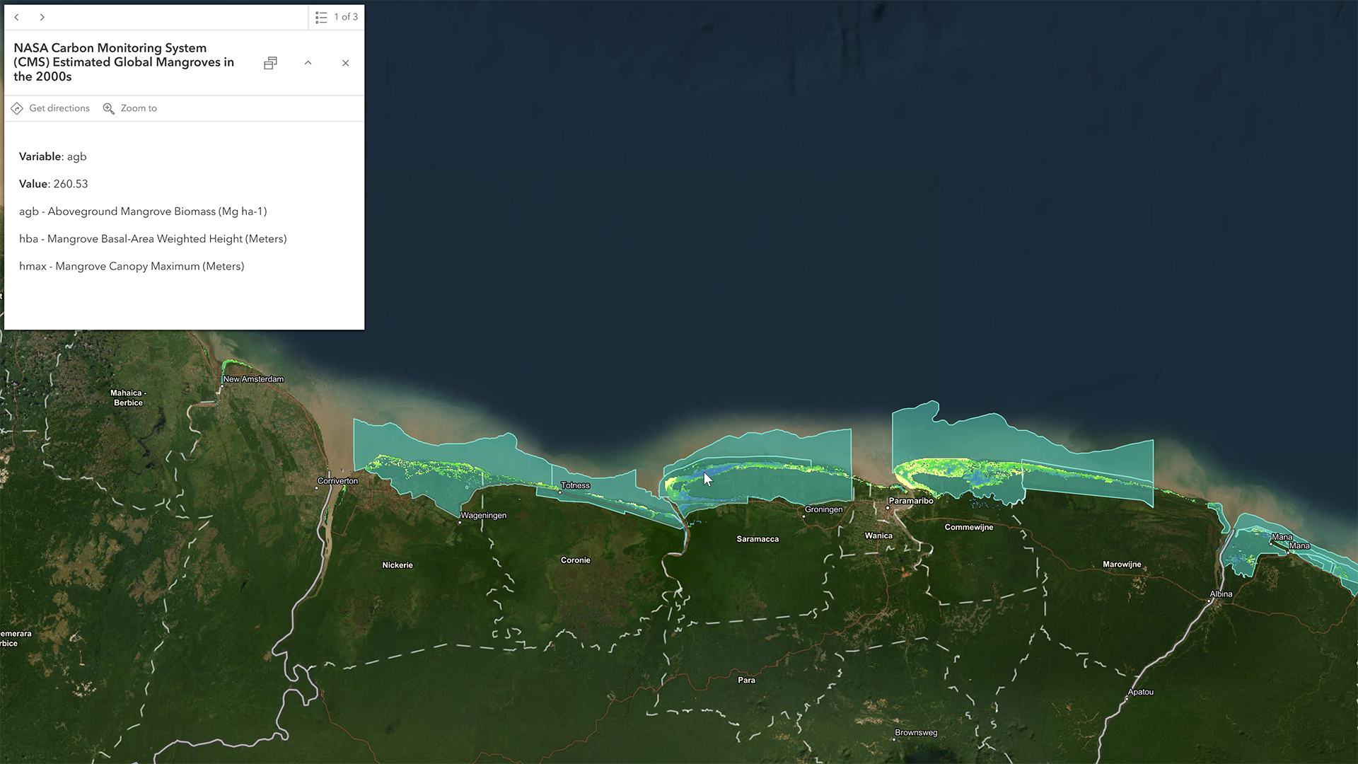 Mangrove habitat along the coast of Suriname, South America. Two-thirds of Suriname's mangroves are in protected areas.