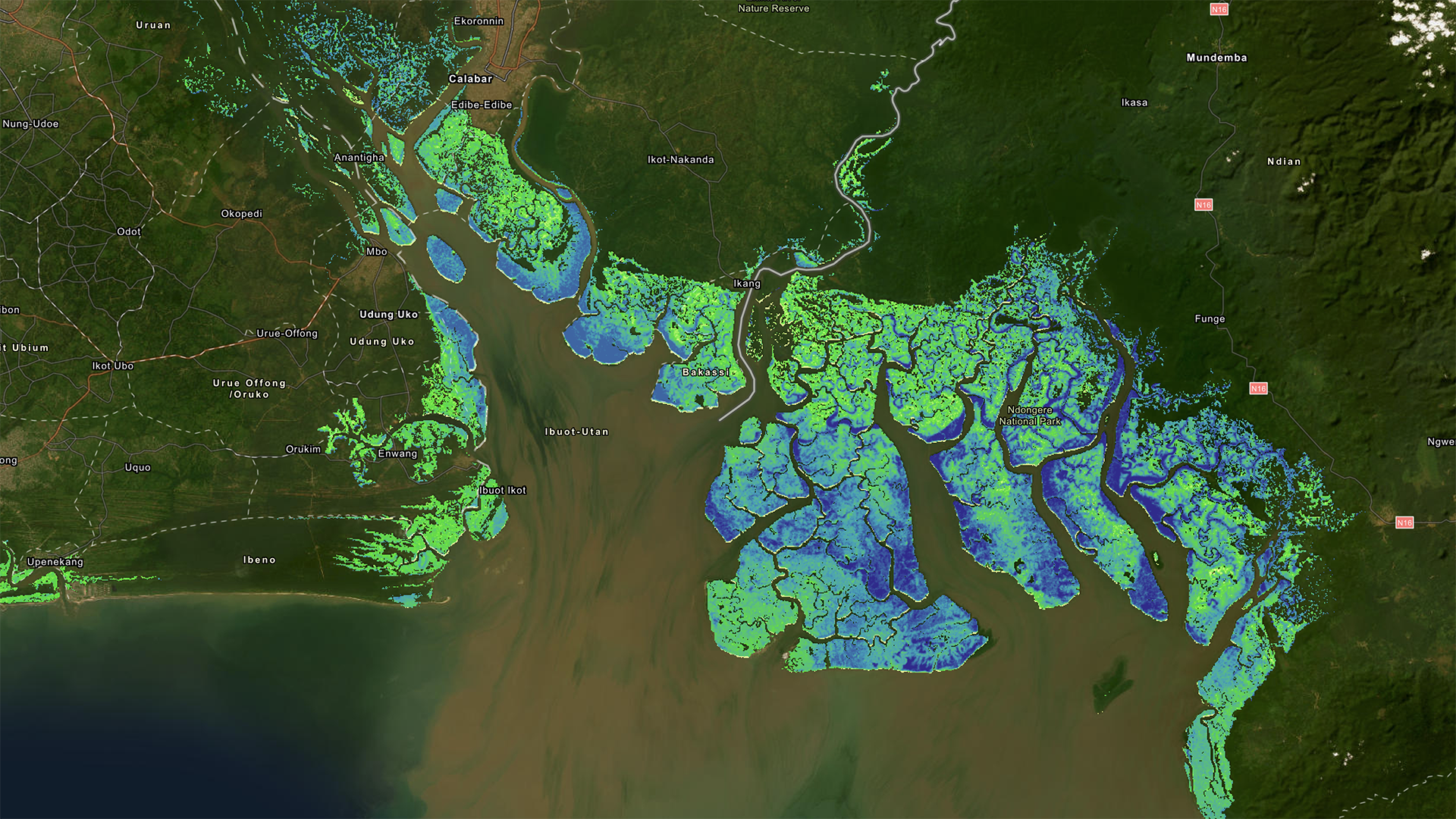 Mangrove along the Gulf of Guinea