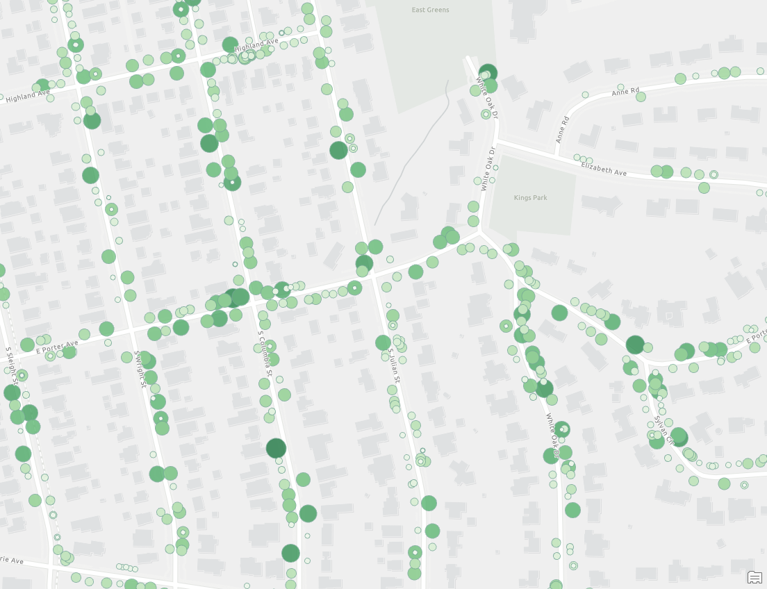 Point layer of tree locations
