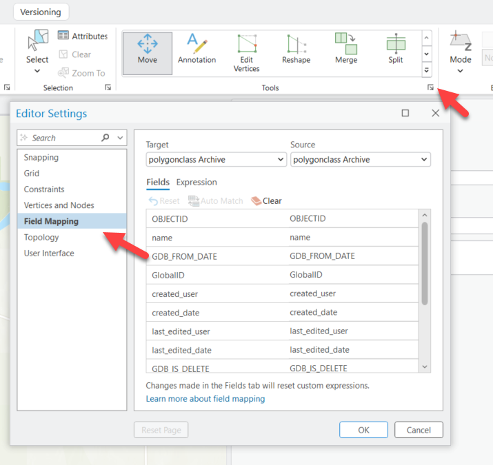Locate Field Mapping in the Editor Settings on the ribbon