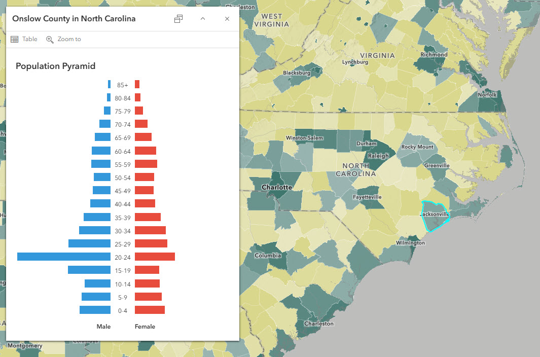 Onslow County, NC is light green in the map, depicting slightly more urban than rural population. The population pyramid has very large bars for male ages 15-19 and 20-24.