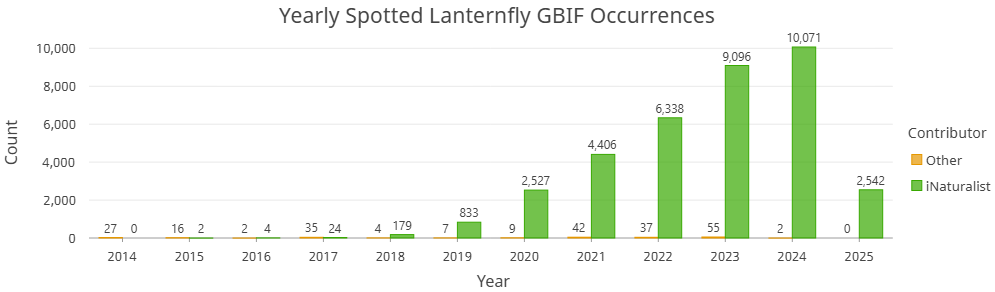 Yearly GBIF Spotted Lanternfly occurrences iNaturalist vs. Other Contributors