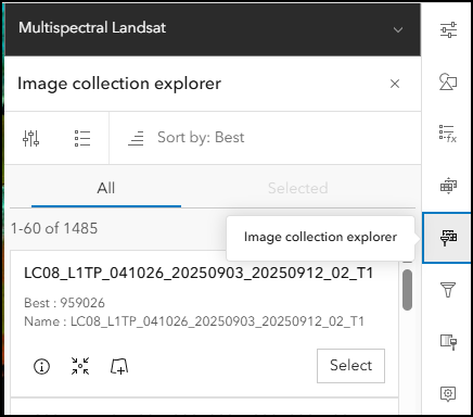 Image Collection Explorer location