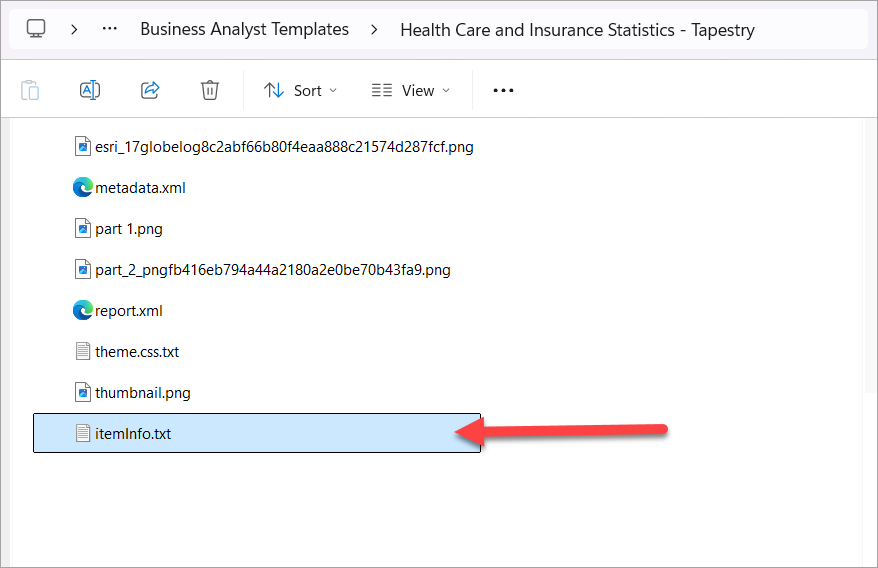 Txt file in custom template folder