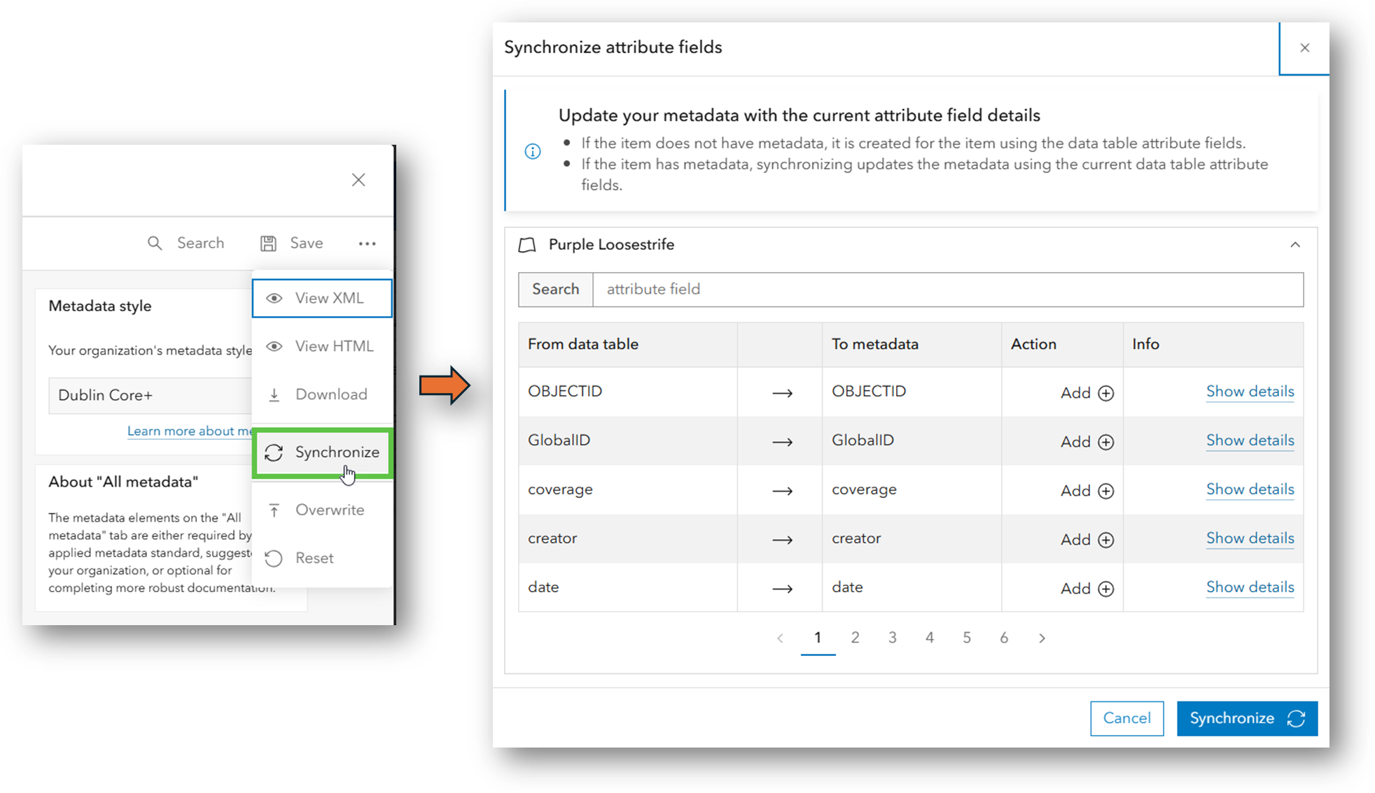 Interface showing synchronizing attribute fields using the metadata editor