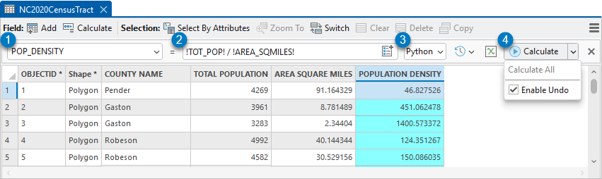 Calculate Field toolbar options
