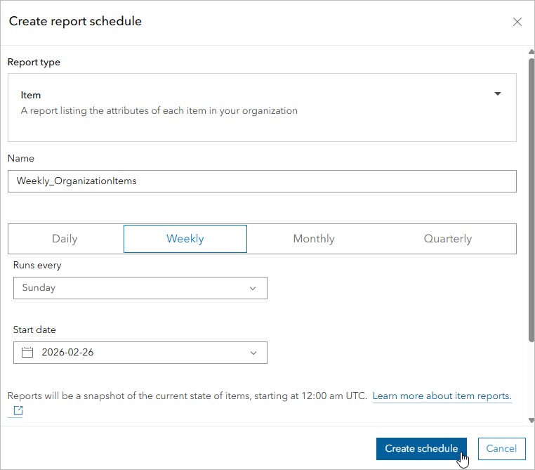 Create scheduled report window with item report options selected