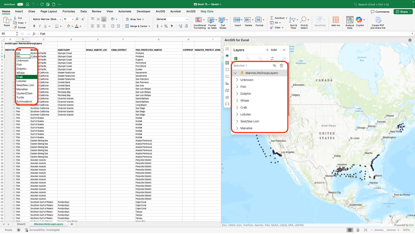 excel file and map. Red square showing the subtype group layers.