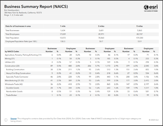 Business Summary Report – NAICS (Tabular) infographic