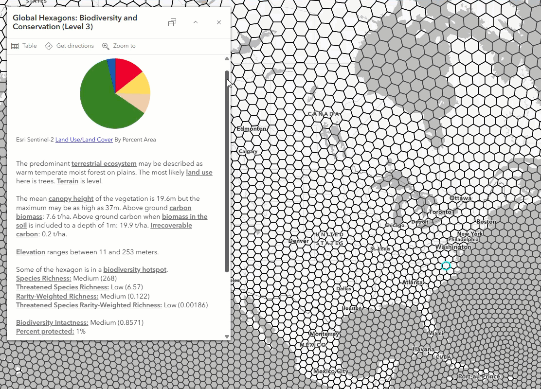 screenshot of global hexagon layer with final popup