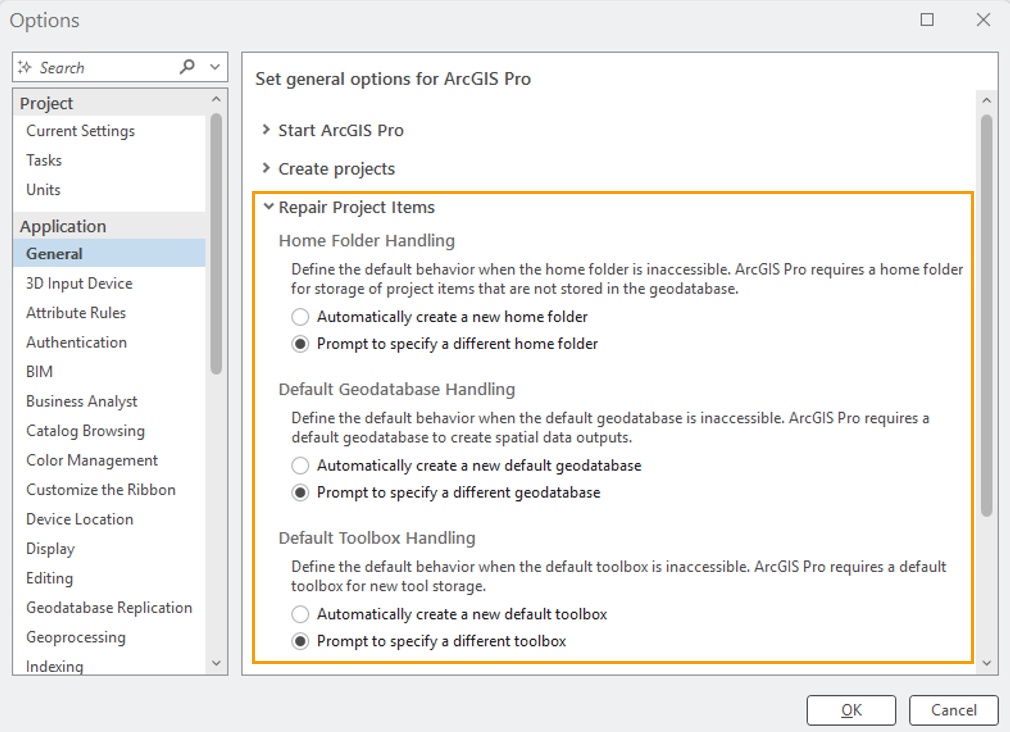 Repair project items options