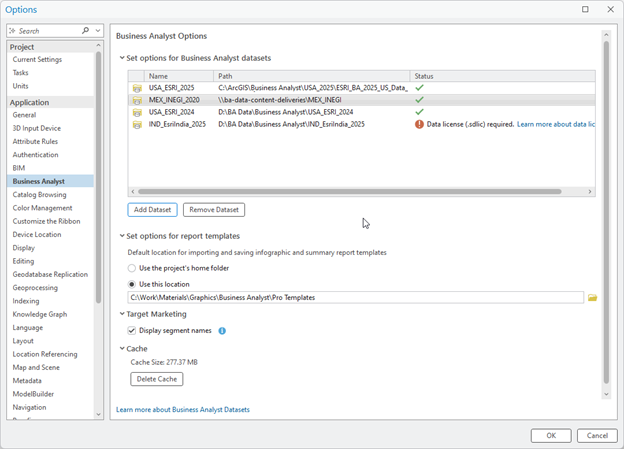 Business Analyst Options window