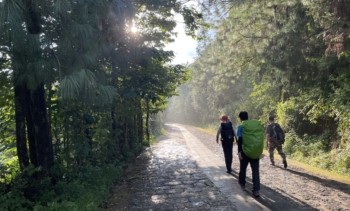 Three figures hike along a stone-paved road through a forested area, with the sun shining brightly through the trees.